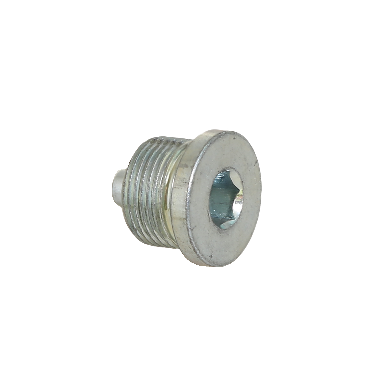 JCB Korek magnetyczny obudowy piasty M22 10mm - AZERI PARTS
